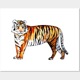 Tiger Tiger Posters and Art